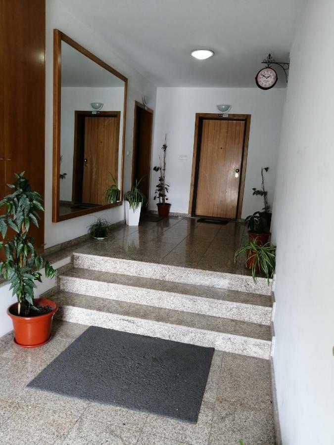 Apartamento Congidouro Freixo de Espada à Cinta Exterior foto